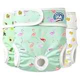 Reusable Dog Nappies - Sanitary Pet Diapers, Highly Absorbent, Machine Washable & Eco-Friendly, 3-Pack, Trending, Medium