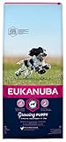 Eukanuba Puppy Dog Food for Medium Dogs Rich in Fresh Chicken, 12 kg