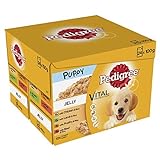 Pedigree Junior Wet Dog Food for Young Dogs and Puppies 2-12 Months Mixed Selection in Jelly, 48 Pouches (48 x 100 g)
