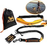 Barkswell Hands Free Dog Lead - Running Dog Lead with Waist Belt - Strong Bungee Dog Lead with Dog Walking Belt - Comfortable Dog Running Lead Hands Free with Waist Belt/Waist Dog Lead for Walking