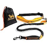 Barkswell Hands Free Dog Lead - Running Dog Lead with Waist Belt and Bungee Dog Lead - Premium Dog Walking Belt
